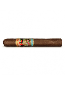 Paradiso Quintessence Robusto (24)