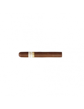 Davidoff Primeros Dominican Maduro (6)