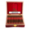 Plasencia Year of the Dragon Torpedo (10)