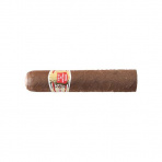 Hoyo de Monterrey Petit Robusto SLB (25)