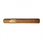 Rocky Patel Seed To Smoke Shade Toro (10)