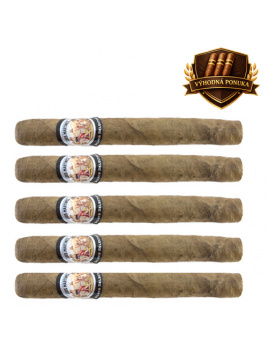 Luis Martinez Ashcroft Corona (5)