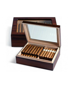 GASTRO HUMIDOR Egoist 25 Glass - Wood