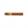 Cohiba Siglo VI (25)