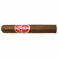 Blend 15 Robusto (15)