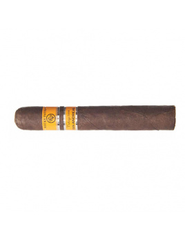 Rocky Patel Vintage 2006 San Andreas Robusto (20)
