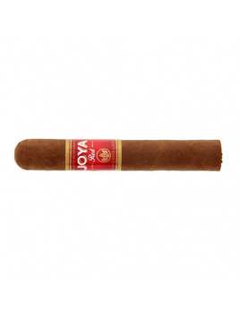 Joya Red Short Churchill (20)