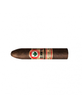 Joya de Nicaragua Antaňo Gran Reserva Gran Consul (20)