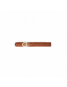 Joya de Nicaragua Celebracion 342 (25)