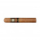 Perdomo 20th Anniverasry Robusto Sun Grown