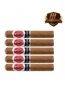 Santa Clara Platinum Connecticut Robusto (5)