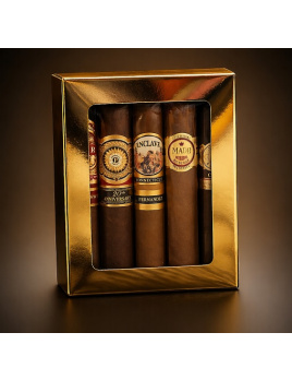 Robusto World Tour - 5 chutí