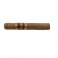 Flor de Oliva Robusto 