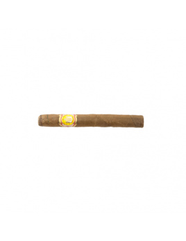 Rey del Mundo Demi Tasse (25)