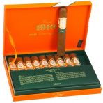 CASA 1910 Cav Jilguero Gordo (10)