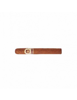Joya de Nicaragua Celebracion 446 (25)