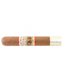 A.J. Fernandez New World Connecticut Robusto (20)