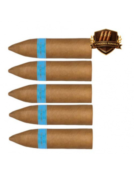 Chinchalero Novillo Torpedo (5)