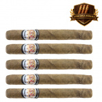 Luis Martinez Ashcroft Corona (5)