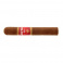 Joya Red Short Churchill (20)