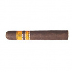 Rocky Patel Vintage 2006 San Andreas Robusto (20)