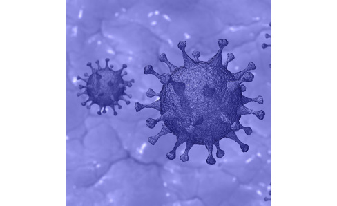 Bezpečnostné opatrenie spojené s vírusom COVID-19