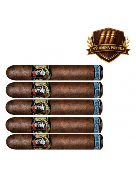 Drew Estate Factory Smokes Maduro Gordito (5)