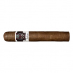 Asylum Schizo Robusto (20)