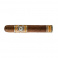 Perdomo Bourbon Barrel Aged Gordo Maduro (24)