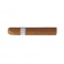 Vegafina Short Robusto