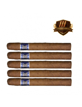 Domenico Corona Strong (24)