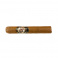 GP Connecticut Robusto (20)