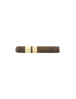 Rocky Patel Decade Robusto (20)