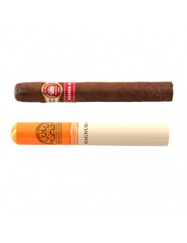 H.Upmann Magnum 50 A/T (3)