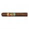 Paradiso Quintessence Robusto (24)