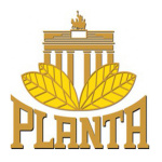 Planta Tabak