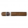 Asylum Schizo Robusto (20)