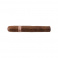 Tatuaje Regios (25)