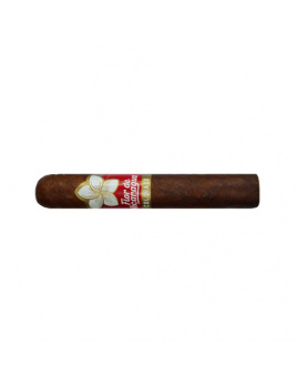 Flor de Nicaragua Colorado Toro (20)