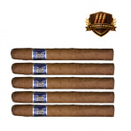 Domenico Corona Strong (24)