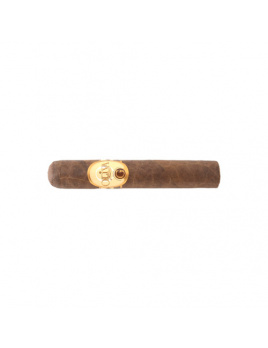 Oliva Serie G DBL Robusto (25)