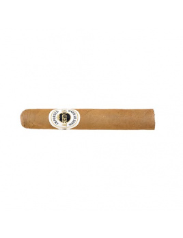 Ashton Magnum Robusto (4)