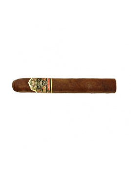 Ashton VSG Robusto (24)