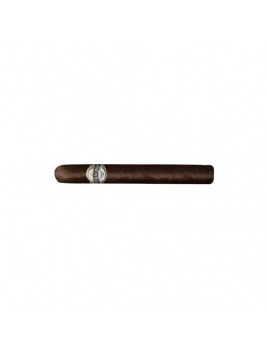 Santa Clara Veracruz Natural Corona (25)