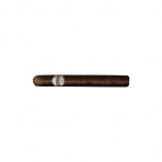 Santa Clara Veracruz Natural Corona (25)