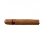 Sabor HVA Rosado Robusto (20)