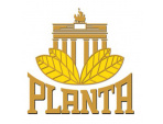 Planta Tabak