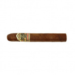 Ashton VSG Robusto (24)