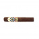 Ashton ESG #21 Robusto (25)