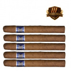 Domenico Churchill Medium (5)